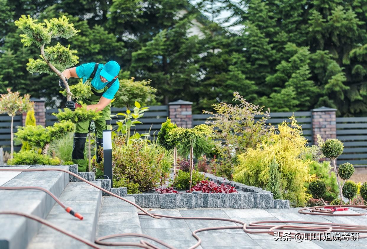 园艺学属于林学吗,园艺专业属于哪个科目