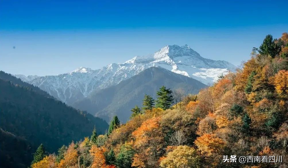 西南商报：川藏登山队队长苏拉王平勇攀高峰圆梦世界之巅