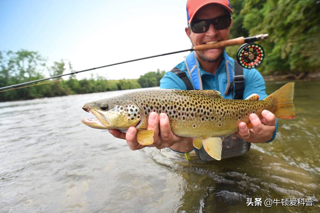 冬季用泥鳅当鱼饵钓鱼好钓吗,用泥鳅钓鱼需要打什么饵料