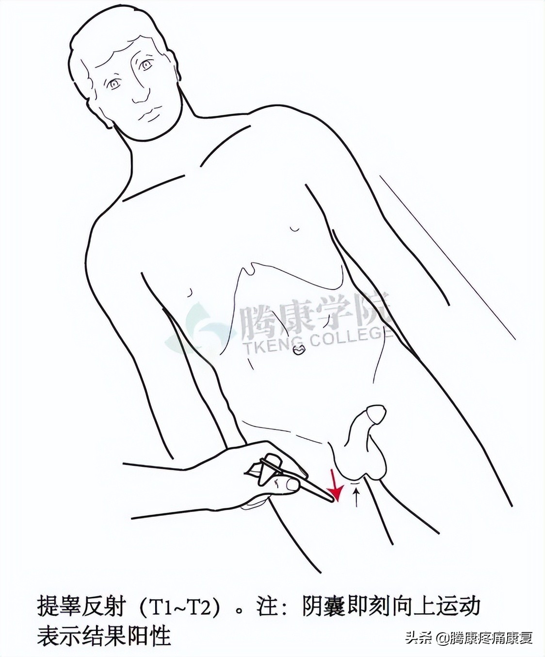 腰骶丛神经检查痛苦吗,腰骶椎不舒服怎样检查