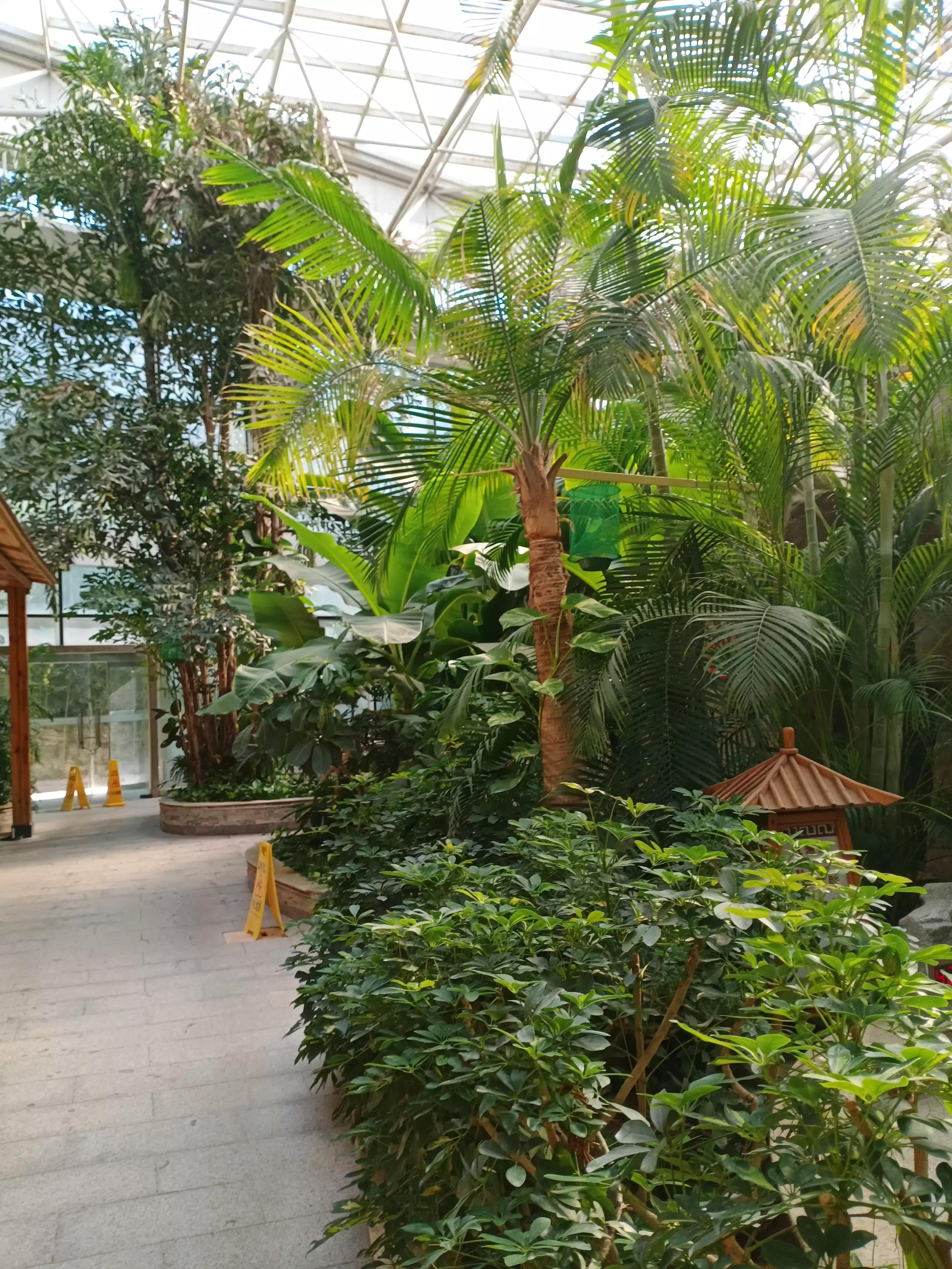 最好的温泉是硫磺温泉吗,凤山温泉和白鹿温泉度假村哪个好