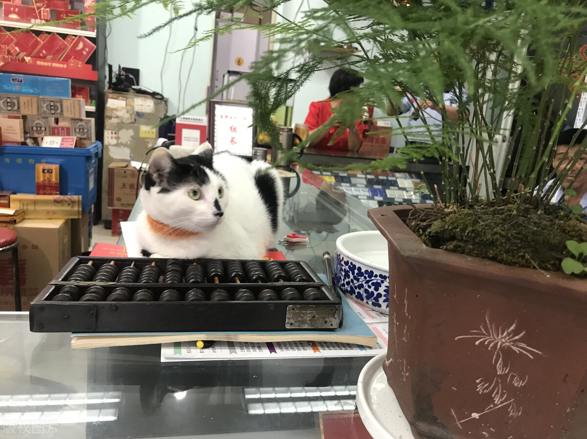 经营性战略规划科学化管理手段,如何做好战略定位营销