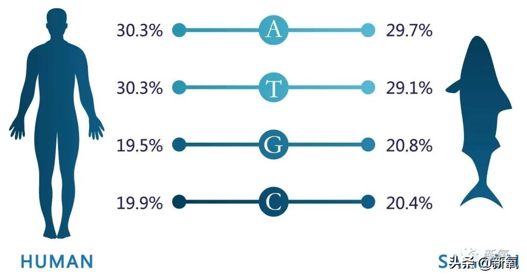 韩国人到底有多爱泡面,怎么才能拥有韩国人的水光肌