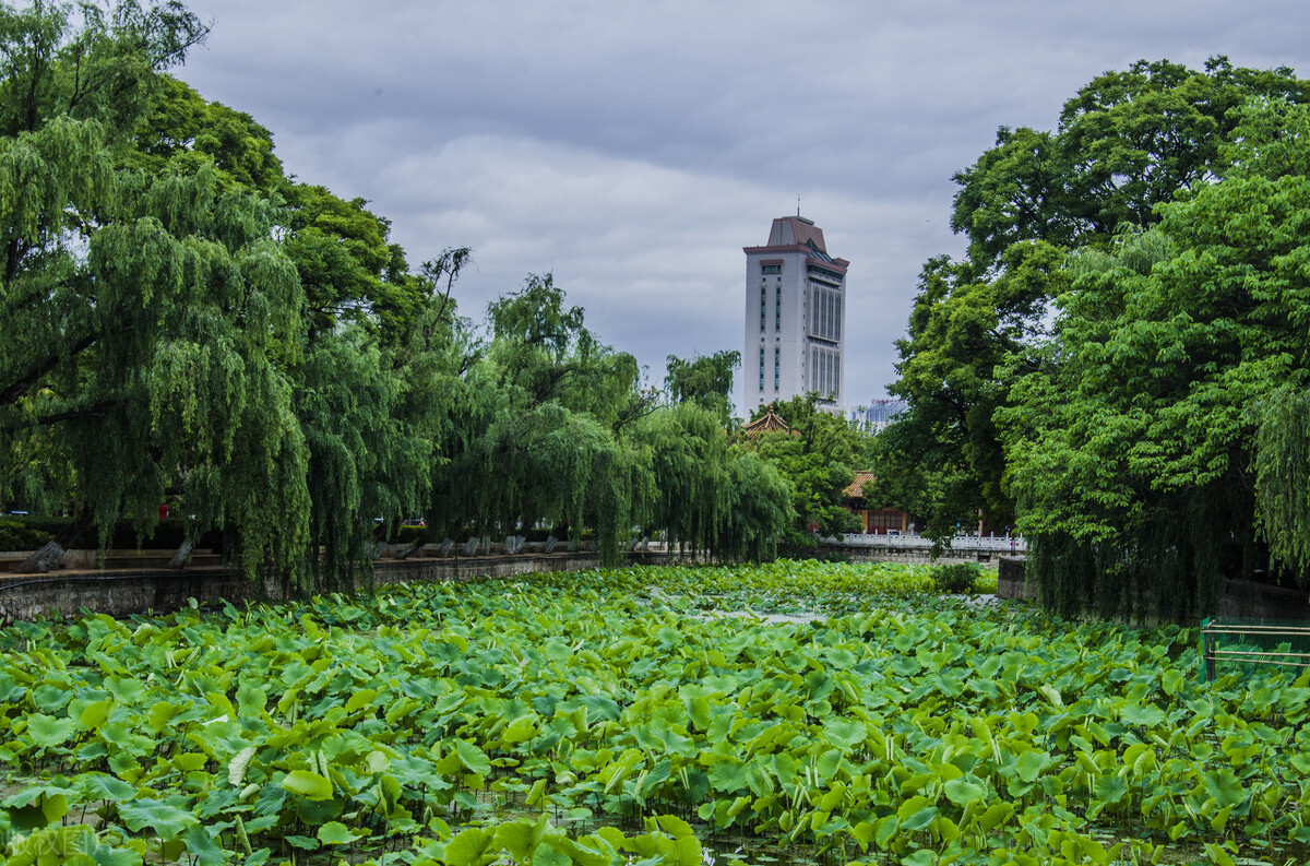 昆明及昆明周边景点,去昆明旅游攻略必去景点最新