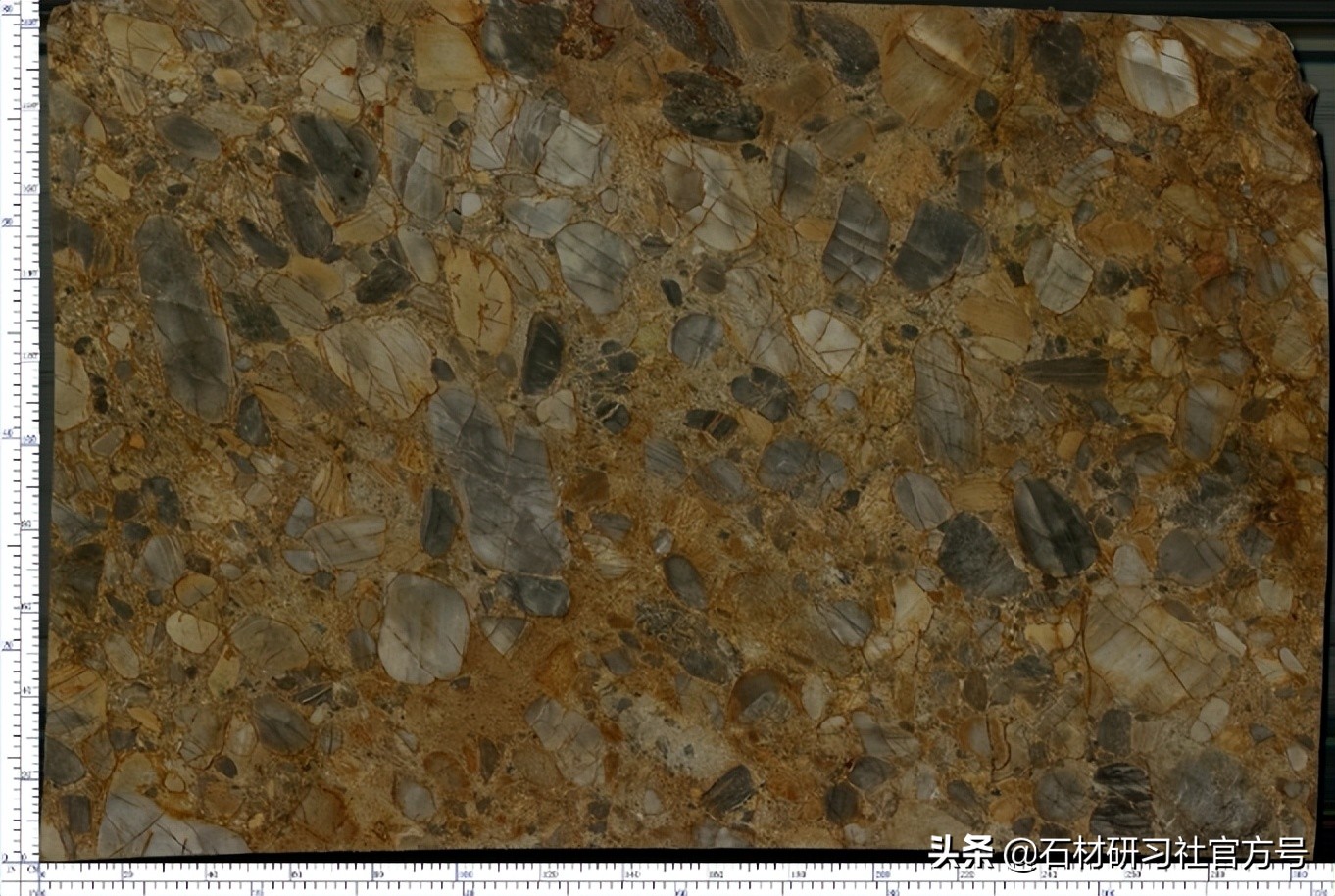 奢石详解,奢石知识科普