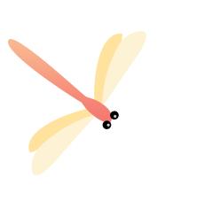 2022考研新大纲解析,西南大学材料考研大纲2024