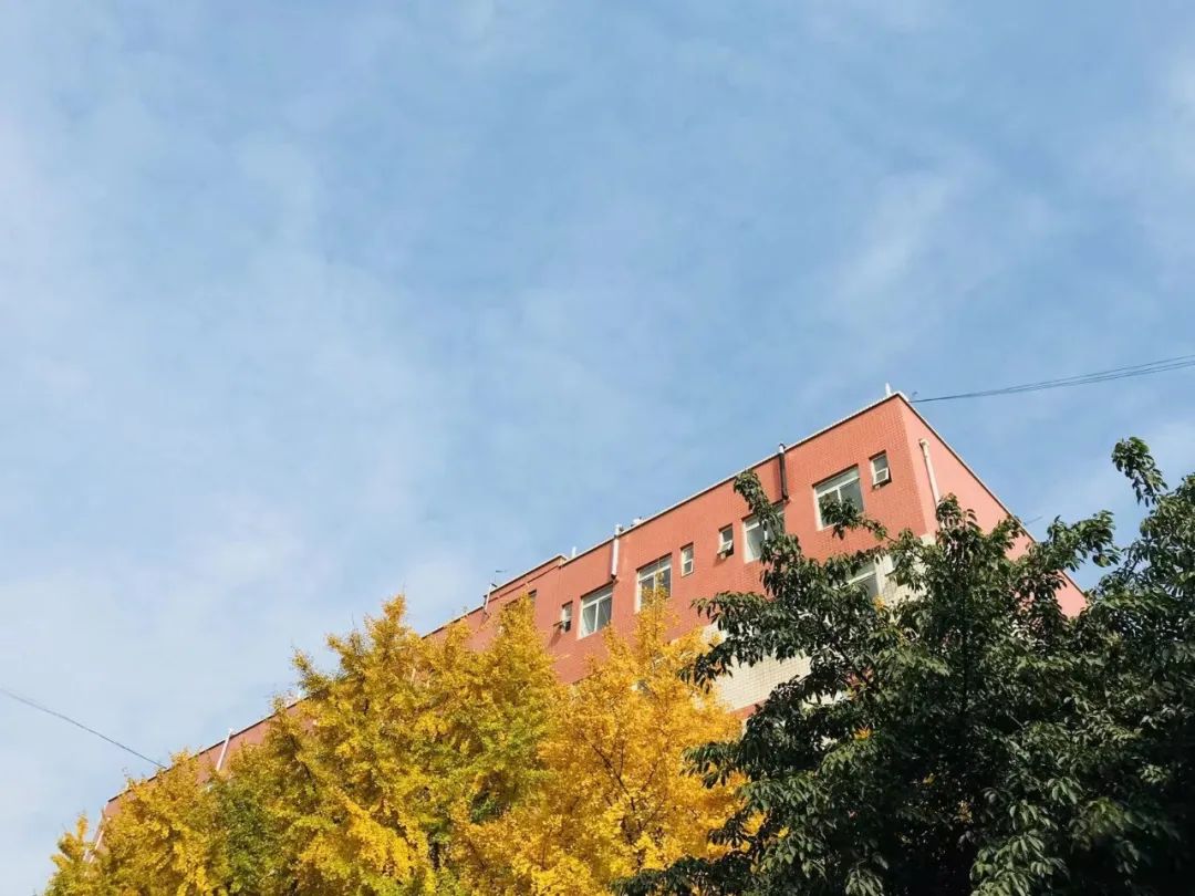 西南交大好看吗,西南交大女生好看吗