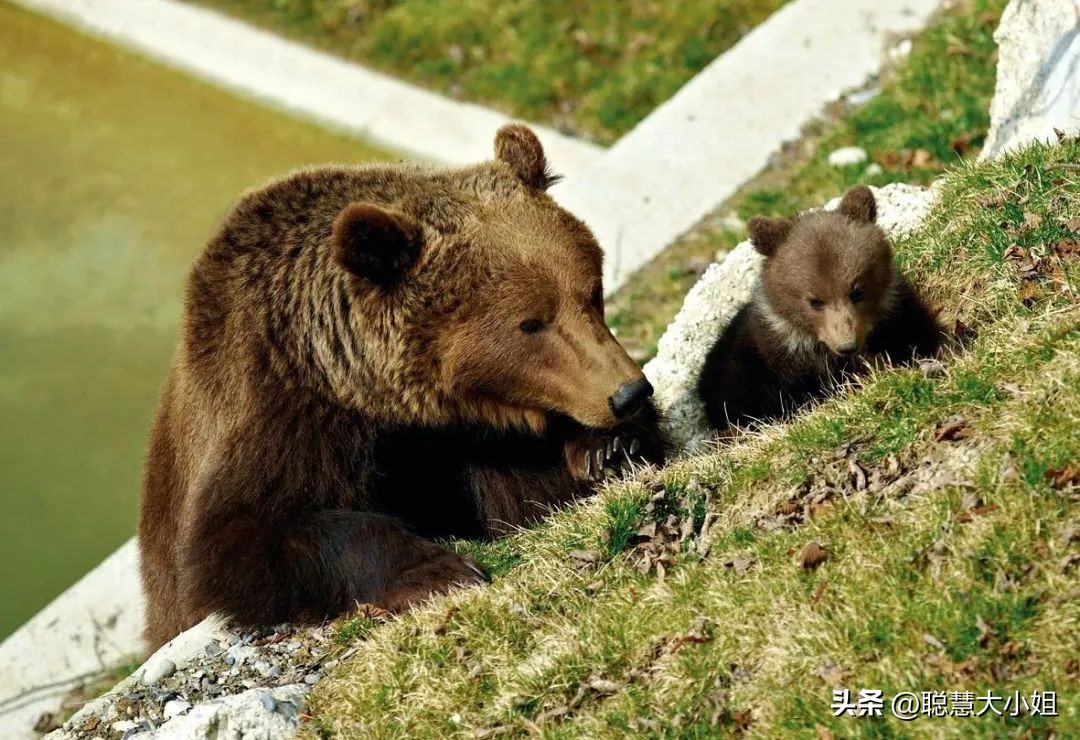初游欧洲走进浪漫之都,欧洲游推荐自由行