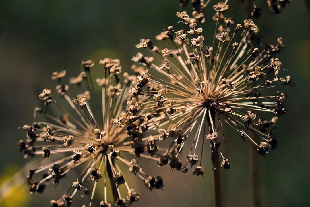 他是“中台”之父，凭一个概念为阿里狂赚百亿