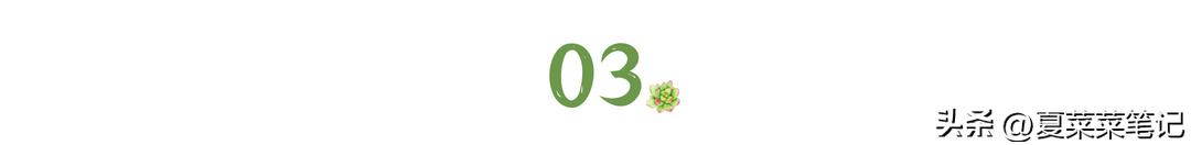 自媒体怎么一个月赚1000,自媒体怎么做到一月挣一万