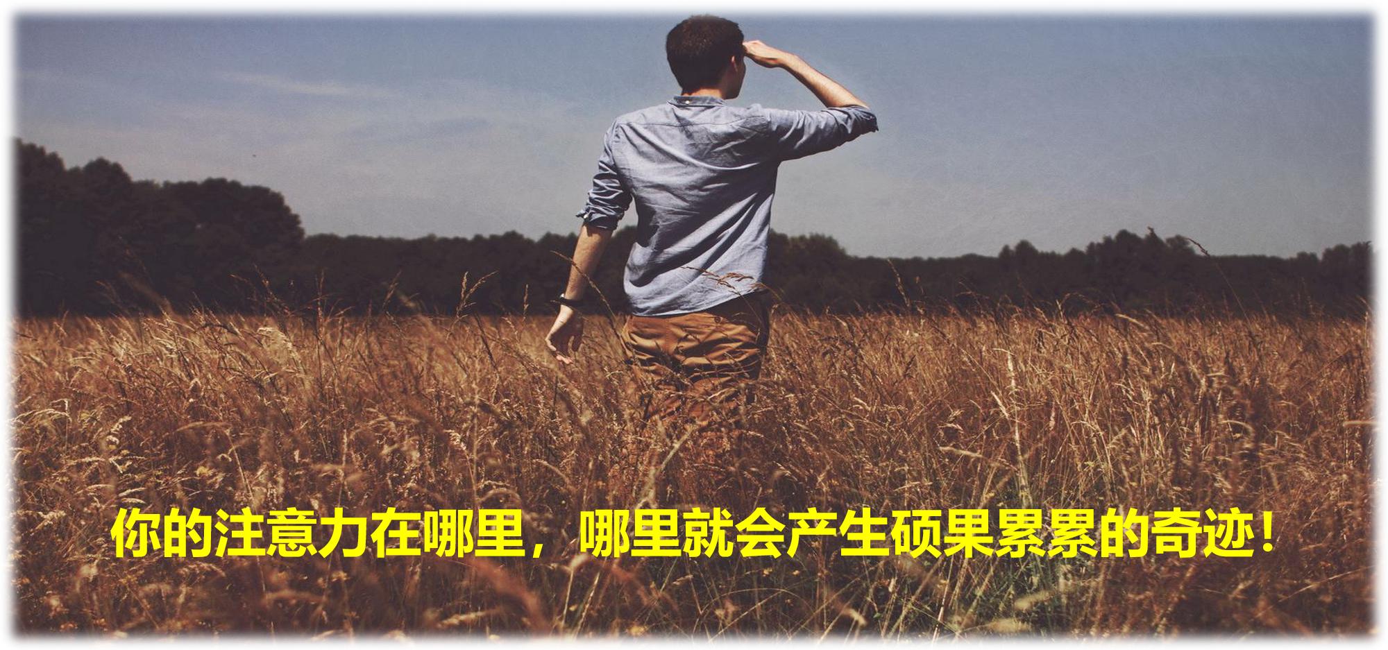 海博医美在哪里,海博医美集团