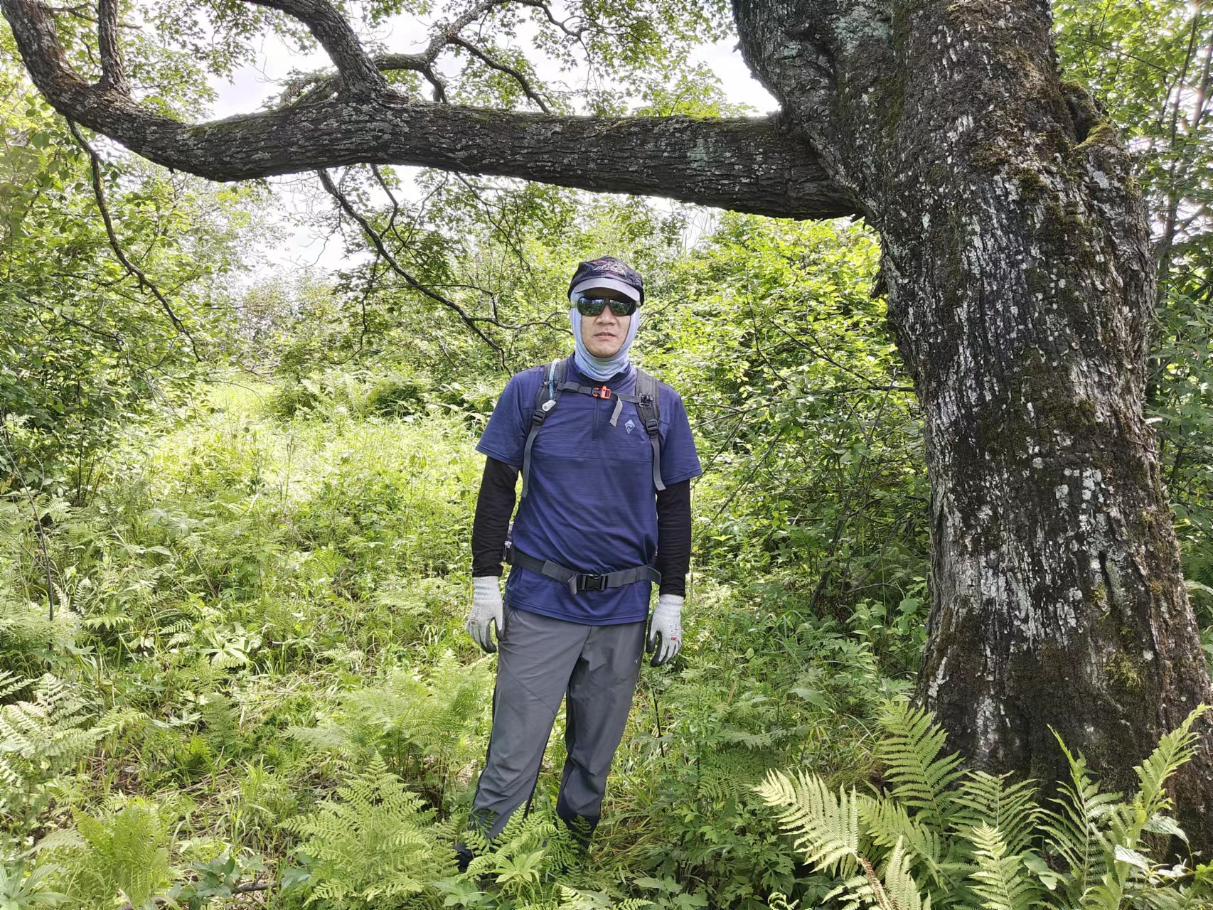 探秘摩艾石像,探秘摩迈尔洞穴