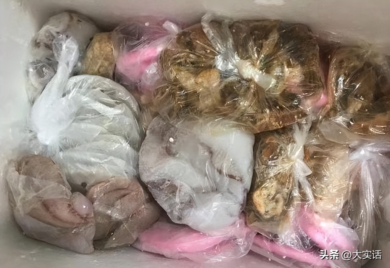 tcl格物冰箱q10与t9的区别,tcl格物q10冰箱有什么优势