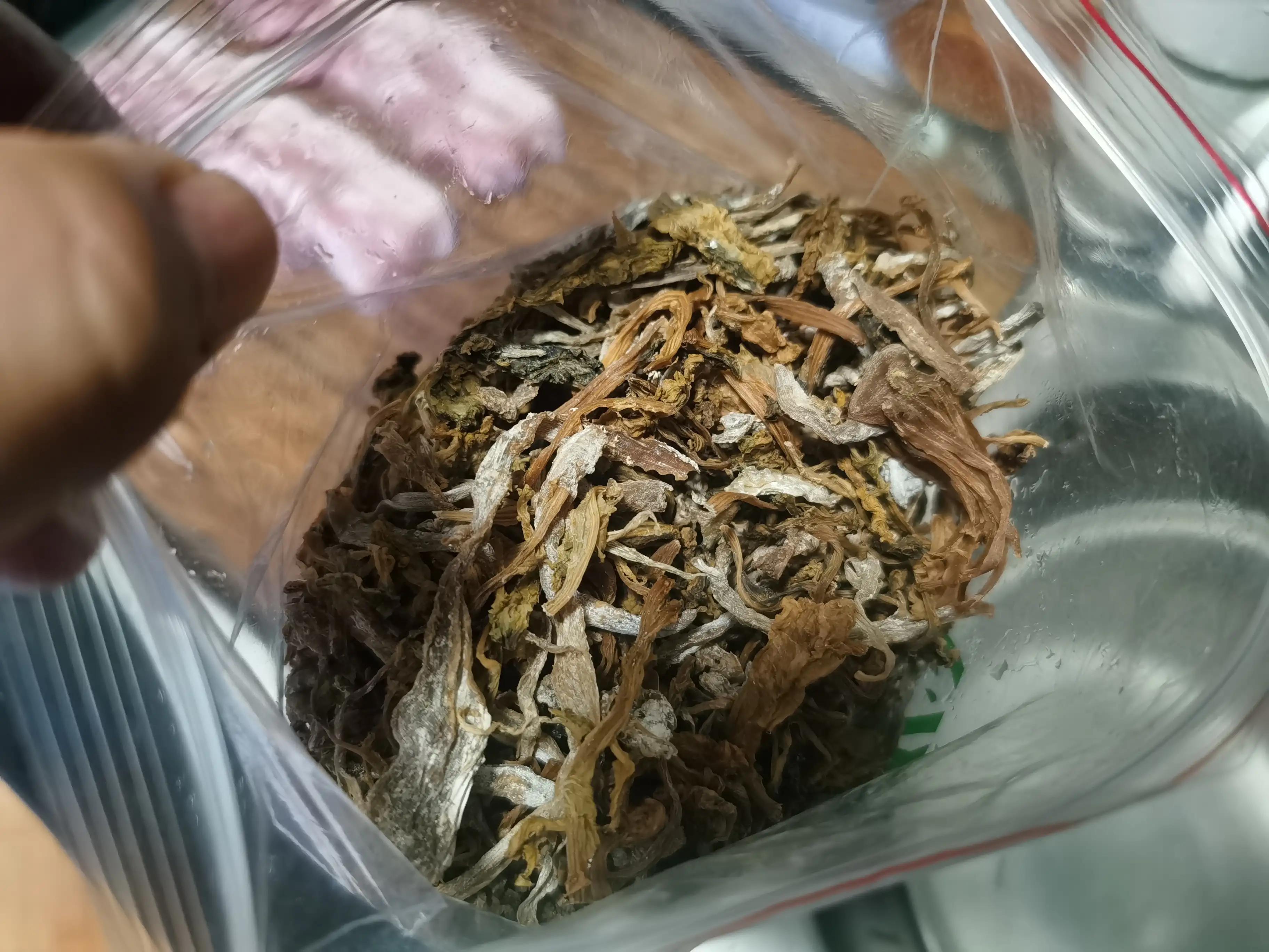 绍兴特产笋丝梅干菜的做法,绍兴特产笋丝梅干菜自产自销