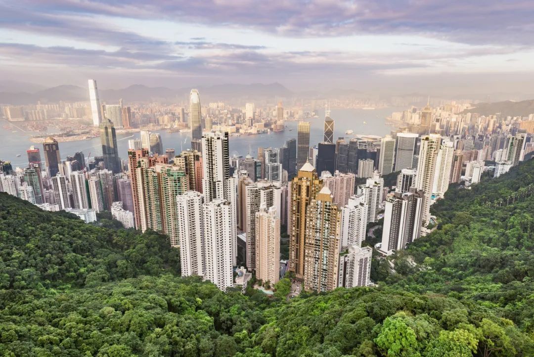 香港自由行攻略必买的东西,香港一日游吃喝玩乐最佳攻略路线