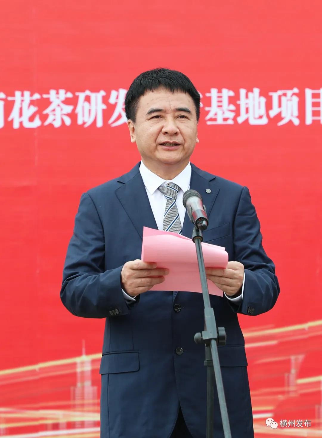 横州市十三五重点项目,横州市十大工程项目