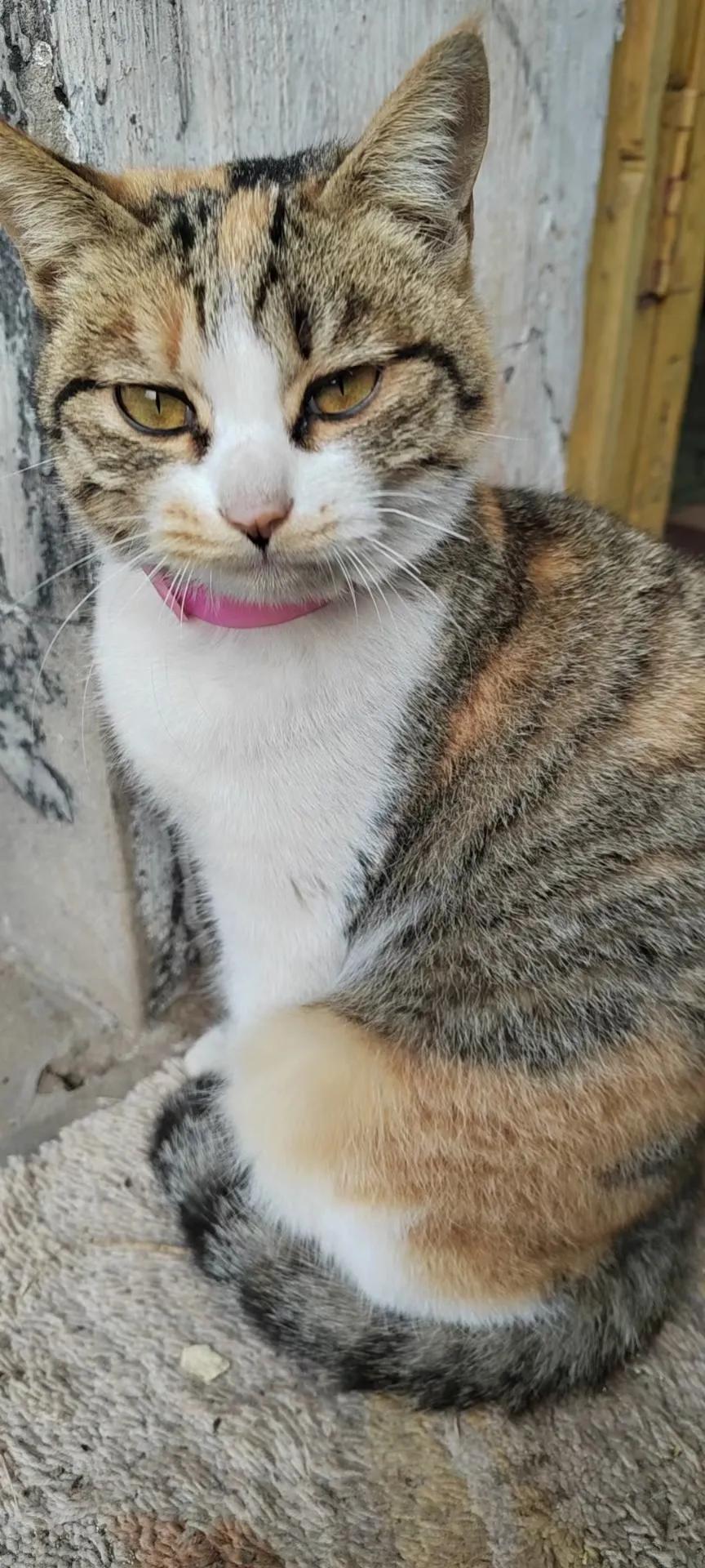 #耗耳朵视角#举报！被举报！怎么看？如何办？