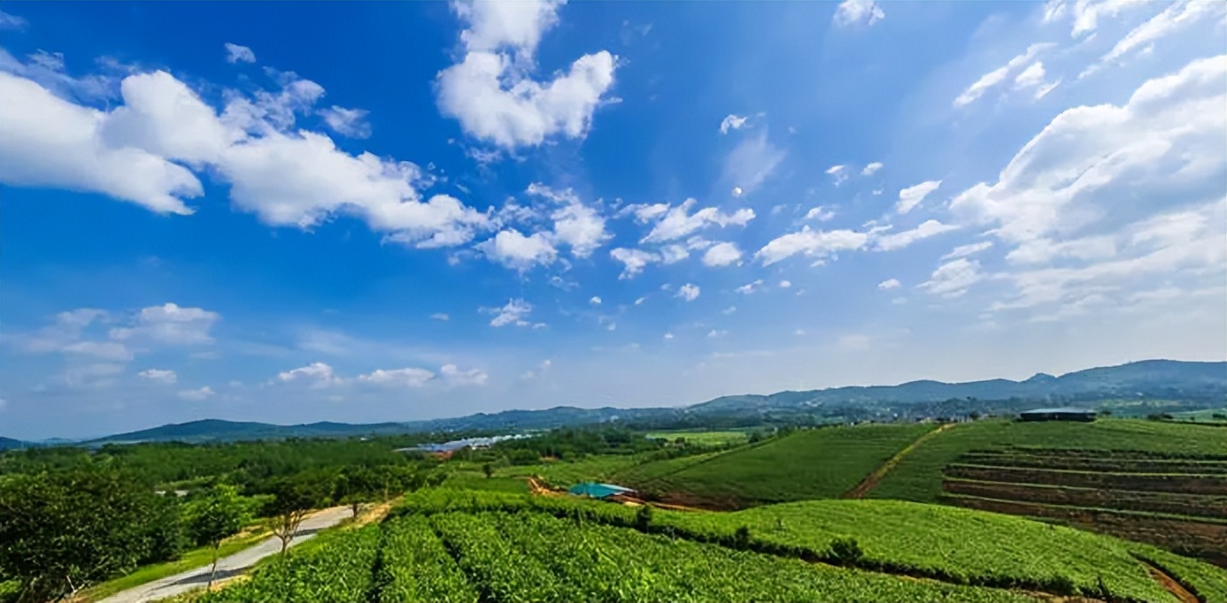 乡村振兴农村电商产业方案,乡村振兴农村电商直播创业点子