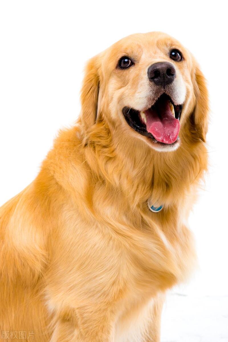 2022鑲栫嫍娴佸勾杩愮▼,2023鑲栫嫍娴佸勾杩愮▼