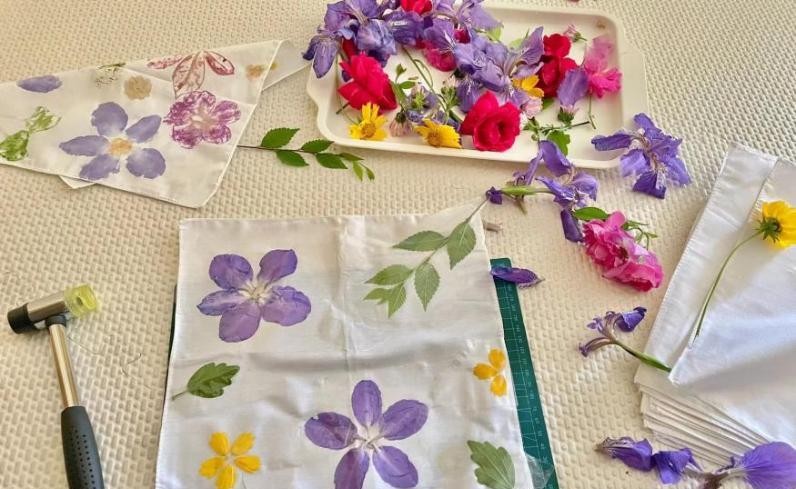 迎春启程，向阳而行——科学盛宴春日邀请函