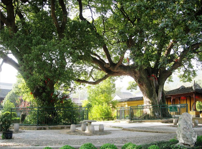 苏州西山太湖精品民宿,苏州太湖最强民宿推荐