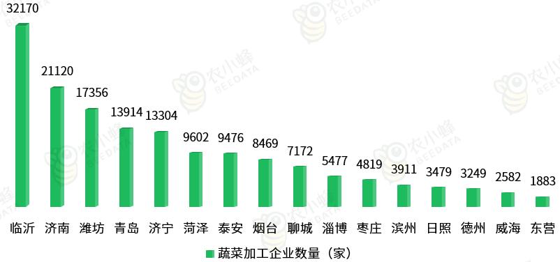 山东省蔬菜产业发展政策,山东蔬菜产业布局