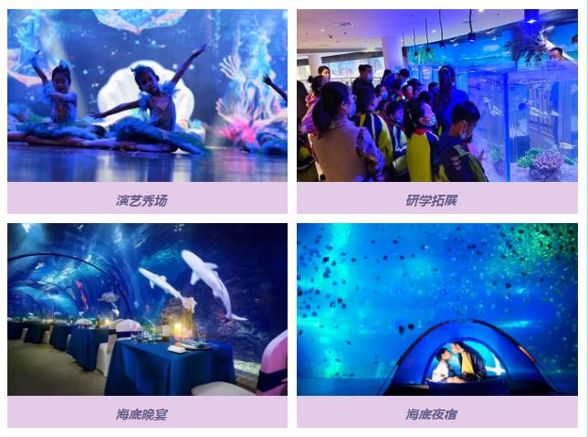 滨州海底世界5.1演出时间表,滨州海底世界39.9团购票