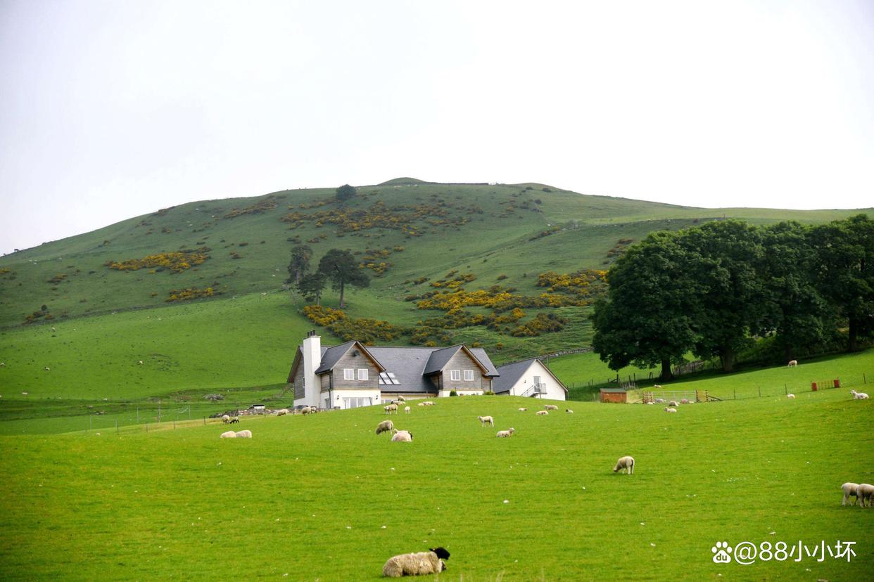 欧陆风云英国内战,英格兰和苏格兰之间的故事