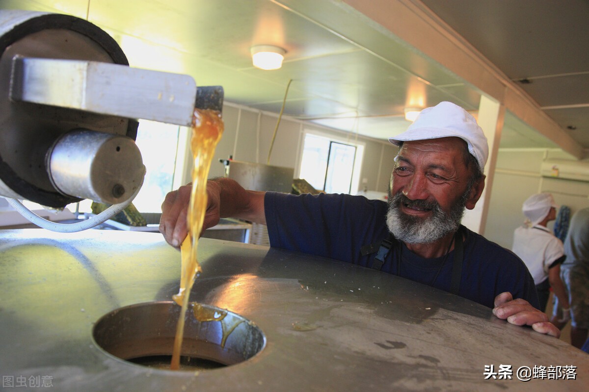 常见蜂蜜的挑选及区别,蜂蜜都有哪些种类是如何划分的呢