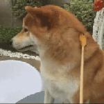 中国人下南洋如何白手起家,白手起家的人特征