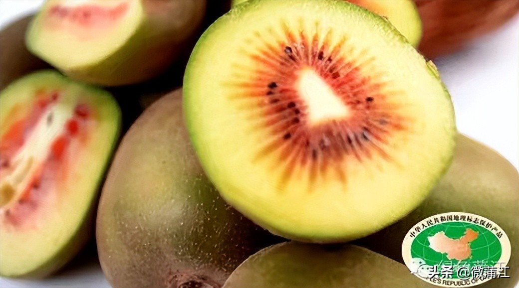 蒲江绿色生态屏障,蒲江县森林资源保护