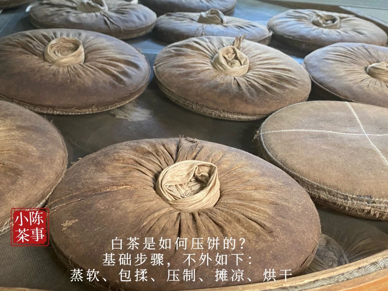 白茶陈年压饼是否已改变了茶性,为什么新白茶不压饼