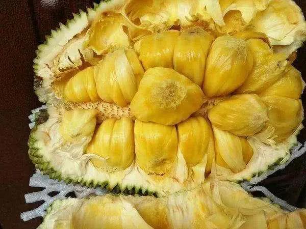 100多种罕见水果欣赏,100种罕见水果名字