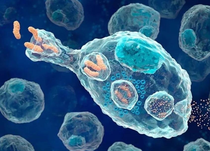 290万抗癌药物能治疗什么癌症,290元的抗癌药物