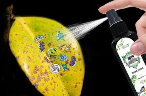 多菌灵养花如何使用视频,多菌灵怎么用到花的根上视频