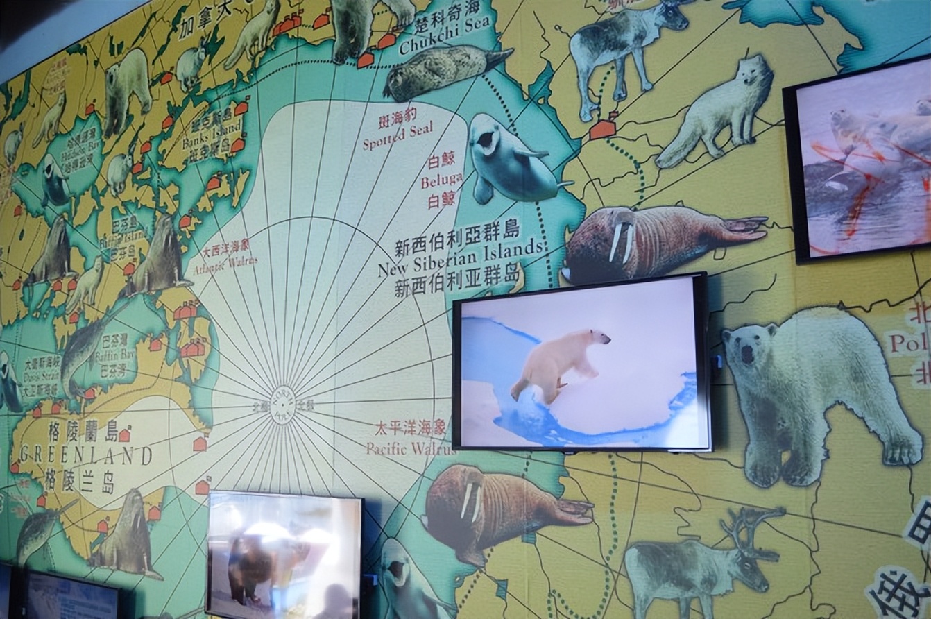 玩的就是心跳香港海洋公园,香港海洋公园经典