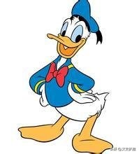 各省地图大图,各个省区的地图哪里找到