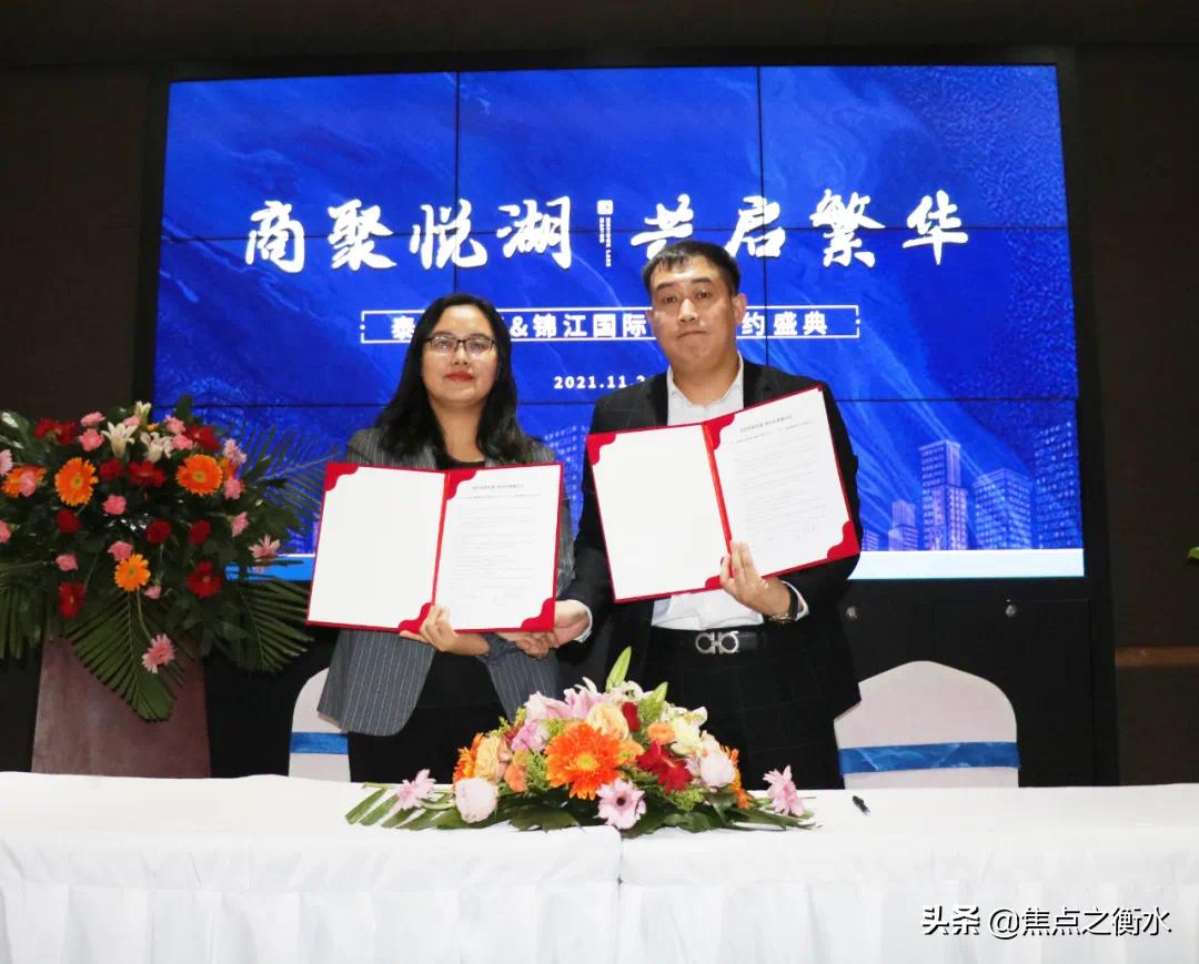 衡水大案件,衡水大事件