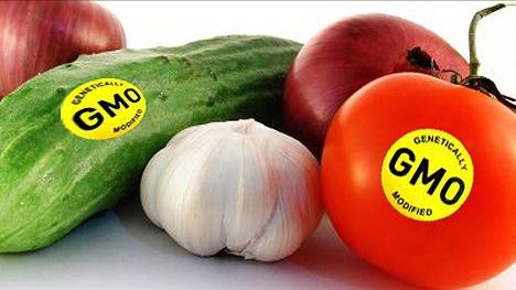 转基因大豆油有危害,转基因大豆油对身体的害处