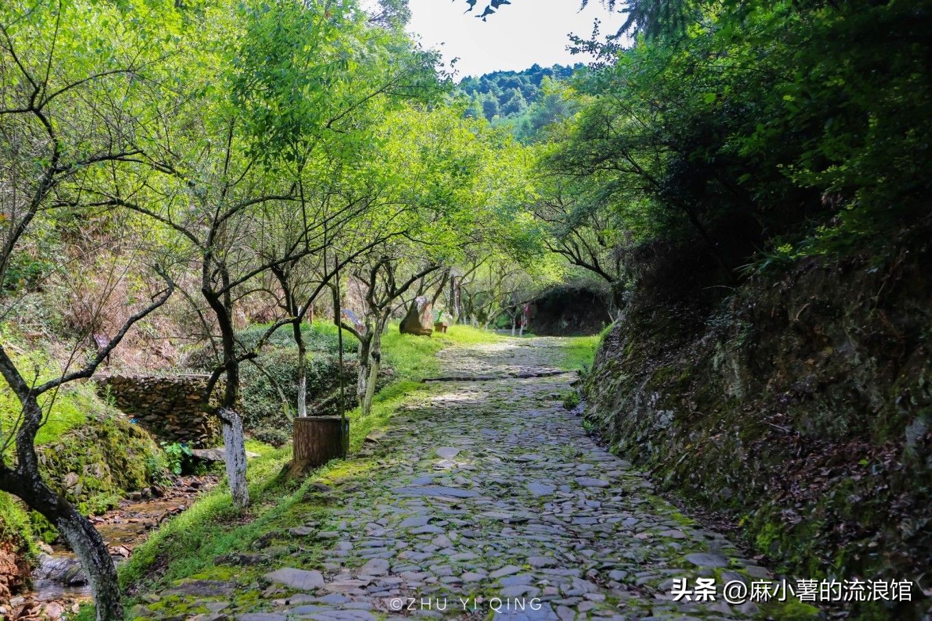 韶关千年古道,广东韶关梅关古道