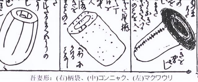 你所不知道的飞机杯冷知识