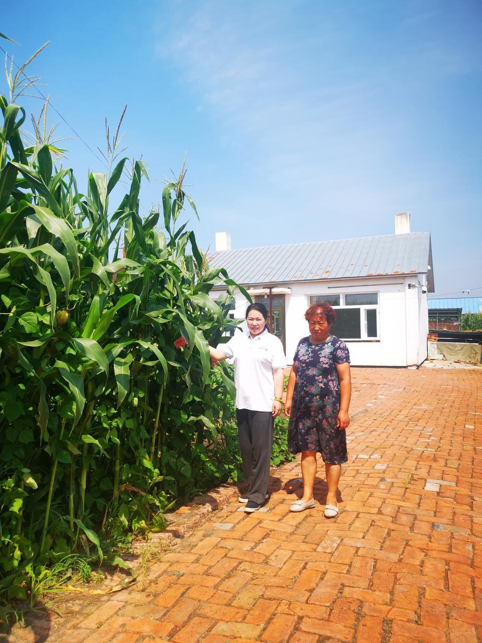 有关乡村振兴的创业机会,调研乡村特色发掘乡村创业机会