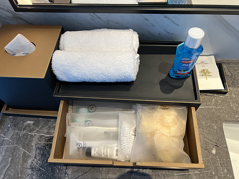 窗含西岭千秋雪成都环球中心雪山,窗含西岭千秋雪魅力成都