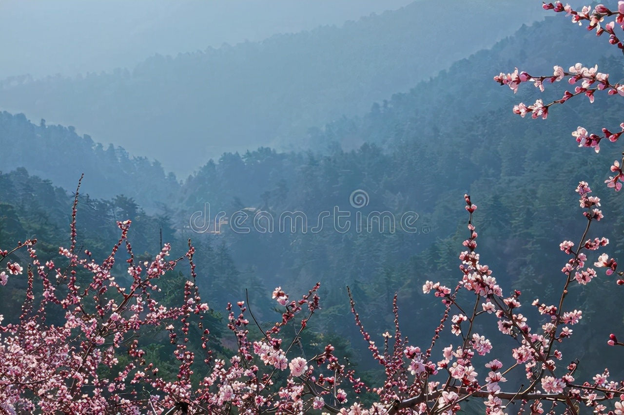 值得一看的全本小说,值得一看的小说免费