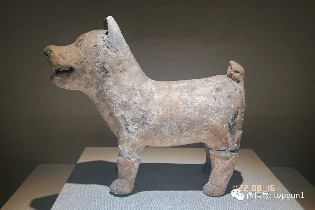 穿行齐国大地「Day7-8蓬莱/潍坊/淄博」