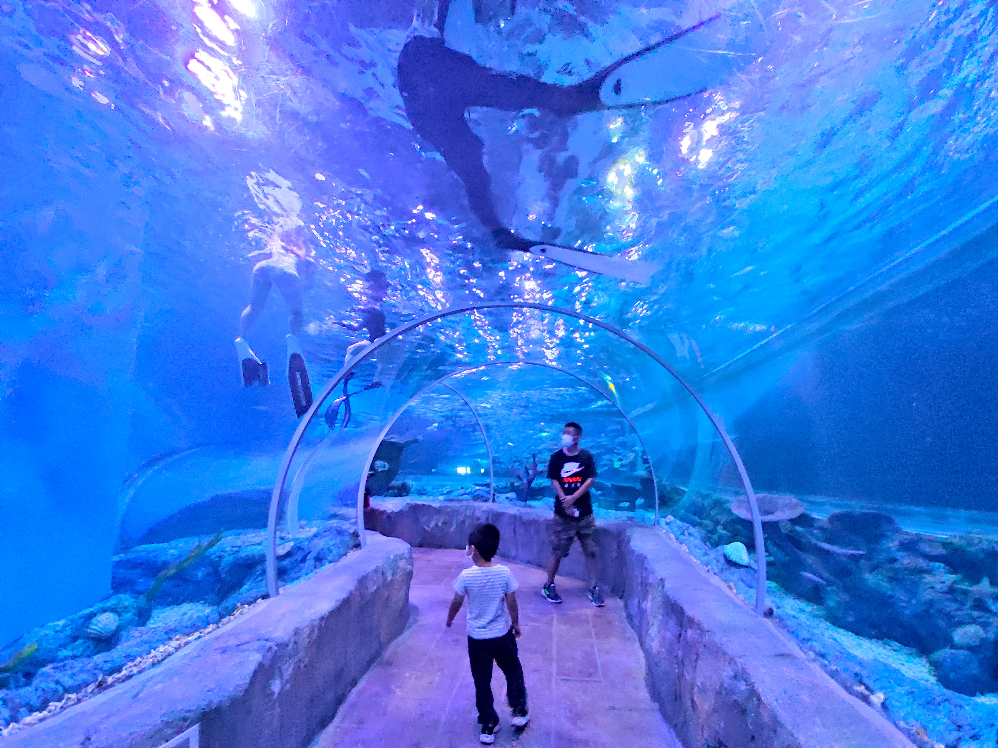 北京海底世界旅游区,北京海底世界游玩攻略
