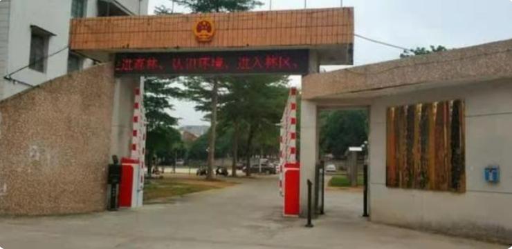 1999年山东一小贩卖毒冰棍，12个孩子无辜死亡，真凶逃亡15年被抓