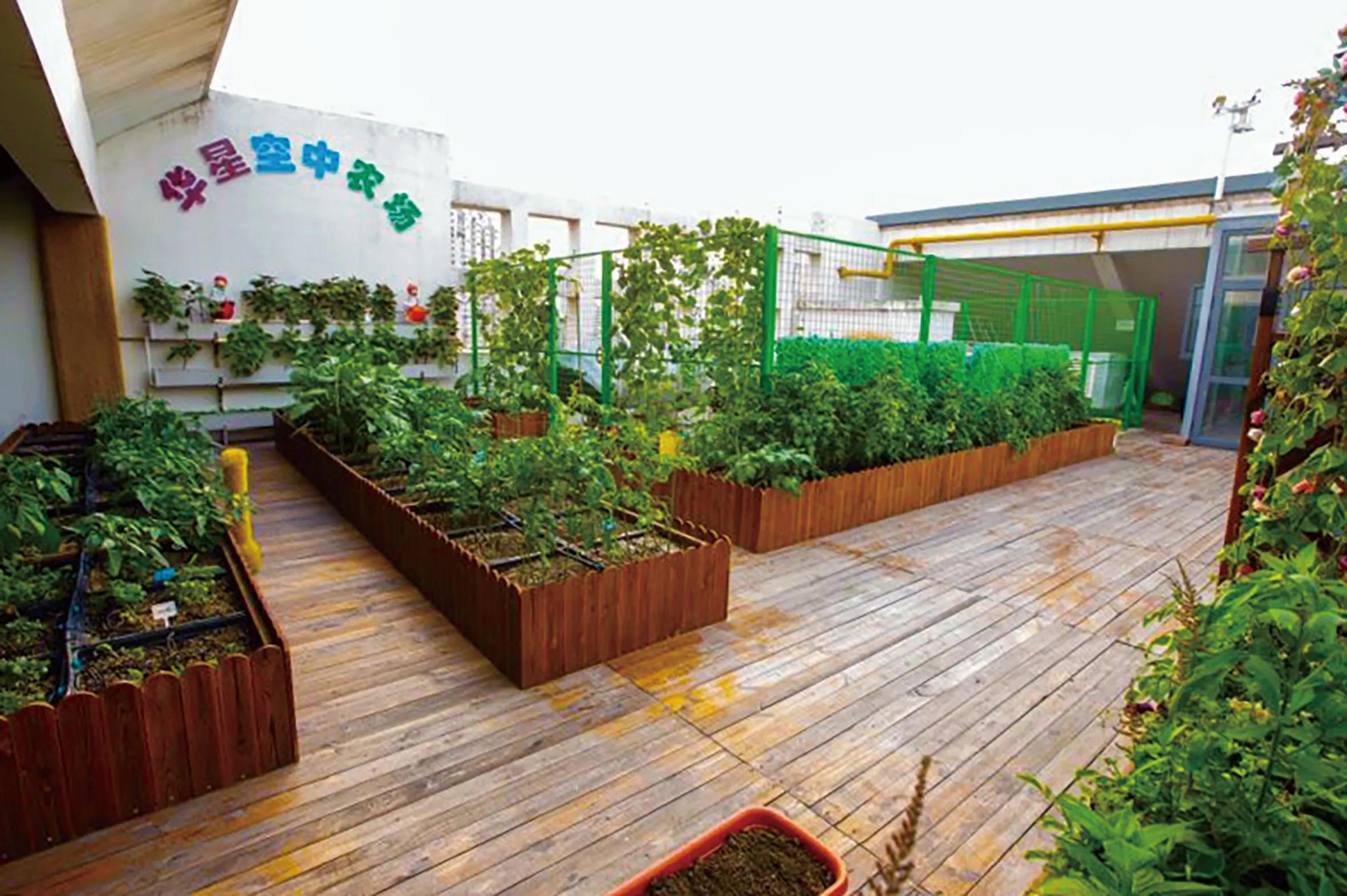 天津市河西区华星学校：五育并举智创未来