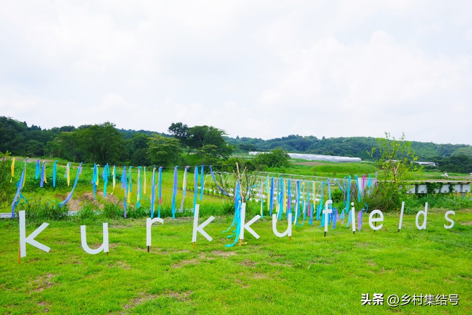 日本农业大县探寻乡村振兴新路,日本家庭农场农业模式