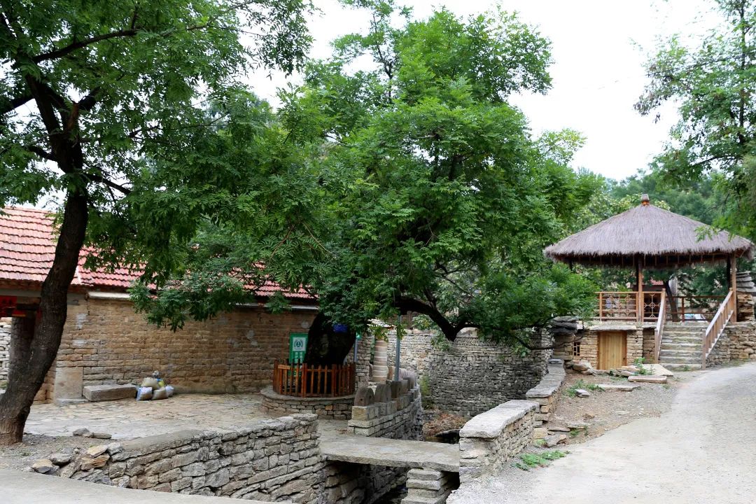 莱芜高庄旅游,莱芜高庄一日游玩攻略